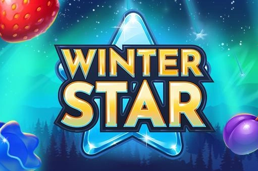 06646 winter star